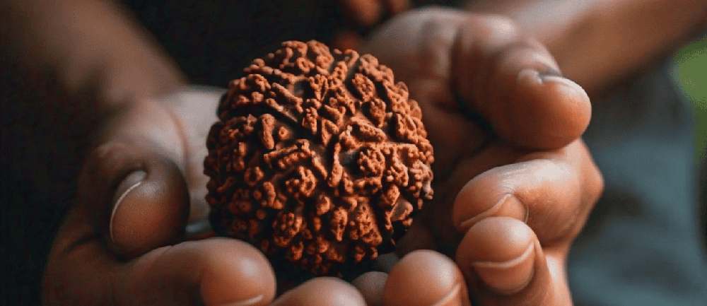 Health Benefits of Rudraksha